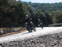 D_IMG_8498